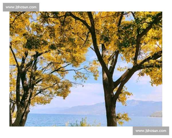 那不勒斯十月：时光的馈赠